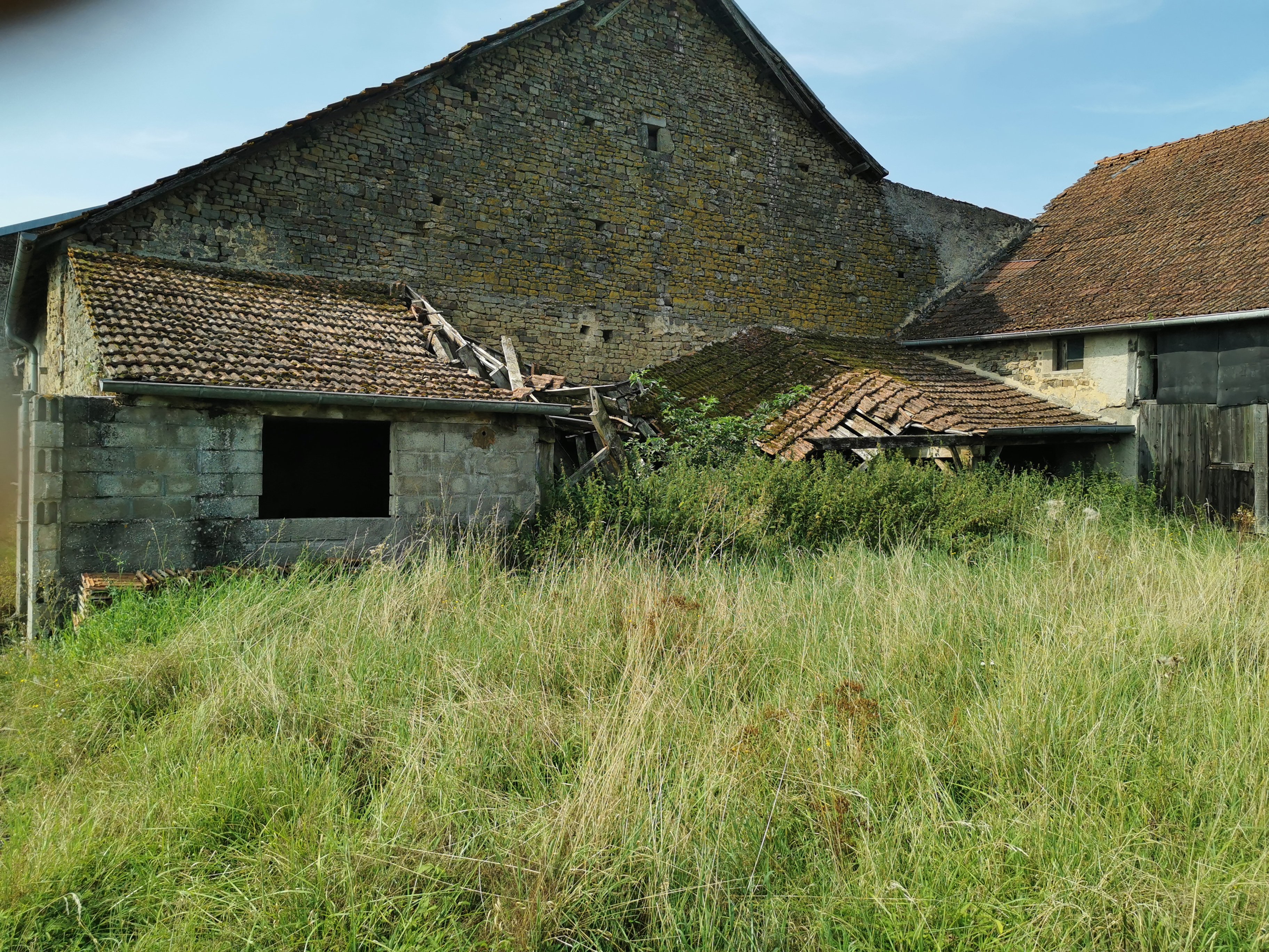 Dammartin-sur-Meuse - Rue de la chapelle - Joël Millé 3