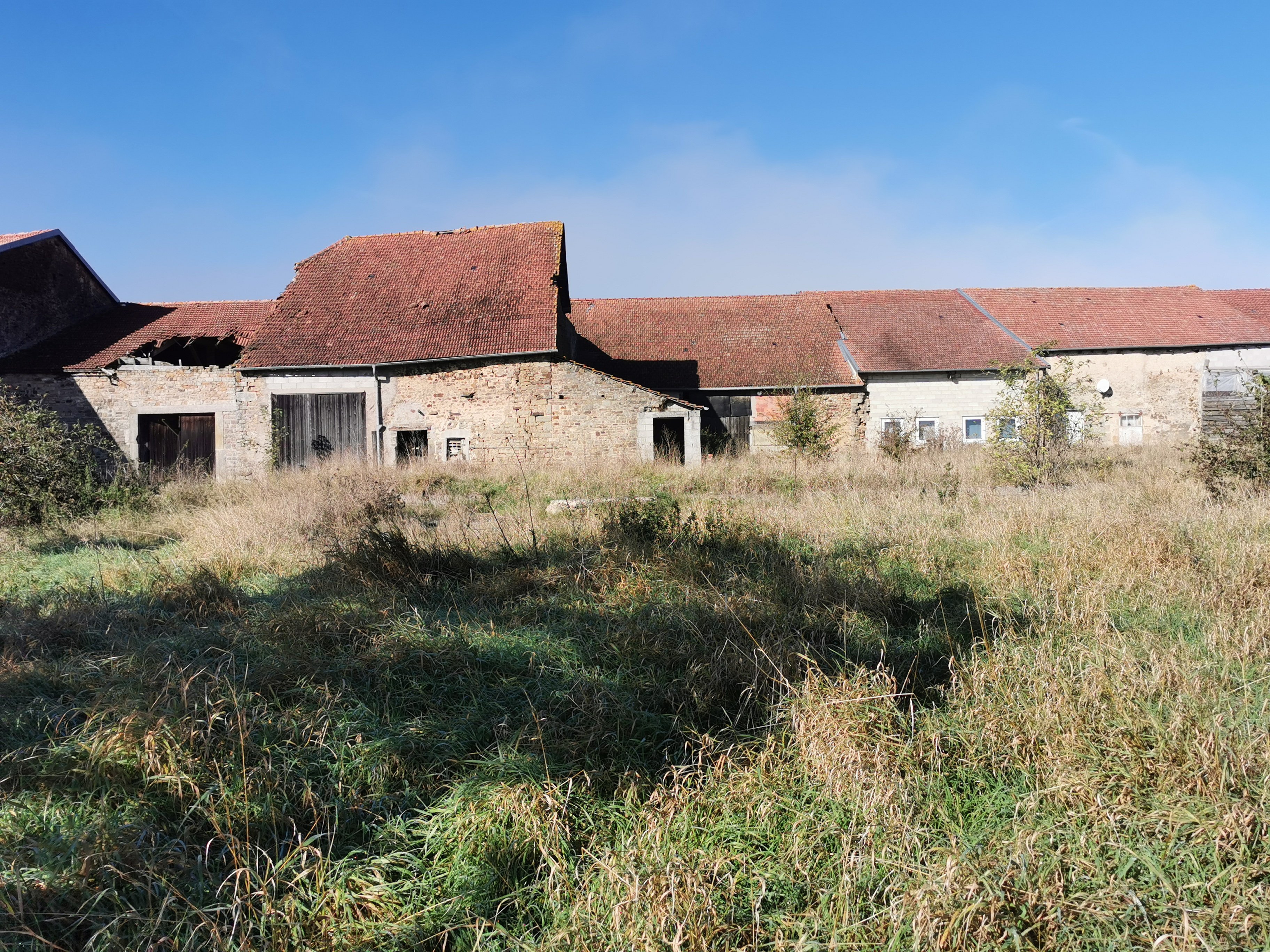 Dammartin-sur-Meuse - Rue de la chapelle - Joël Millé 5